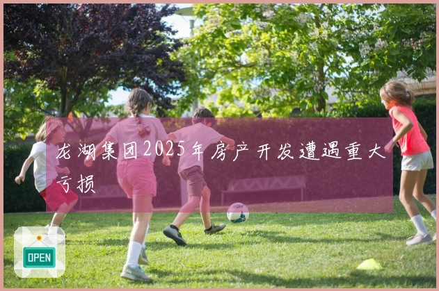 龙湖集团2025年房产开发遭遇重大亏损