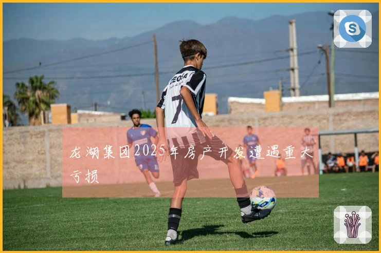 龙湖集团2025年房产开发遭遇重大亏损
