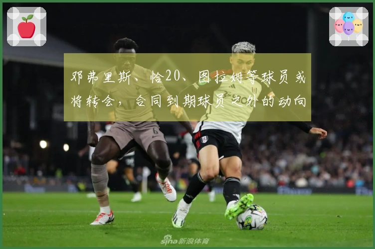 邓弗里斯、恰20、图拉姆等球员或将转会，合同到期球员之外的动向