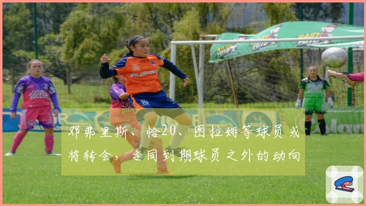邓弗里斯、恰20、图拉姆等球员或将转会，合同到期球员之外的动向